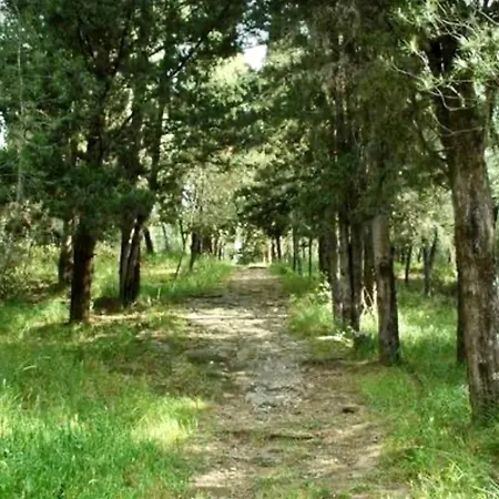 Villa Oikiastudios2 *