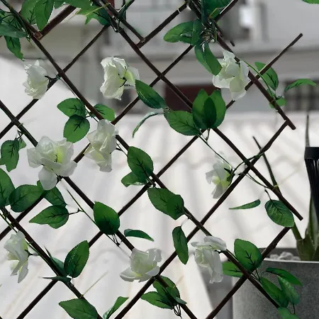 Vila Oikiastudios2 *