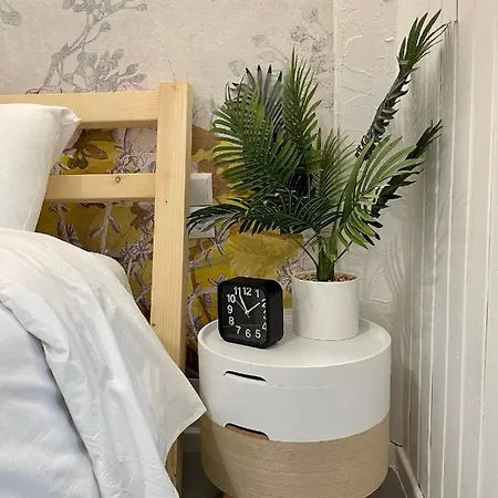 Oikiastudios2 *