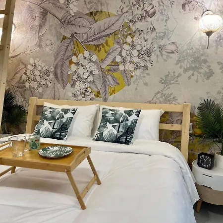 فيلة Oikiastudios2