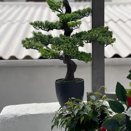 Vila Oikiastudios2 *