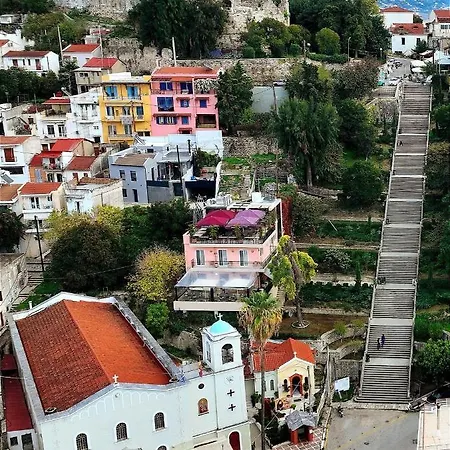 فيلة Oikiastudios2