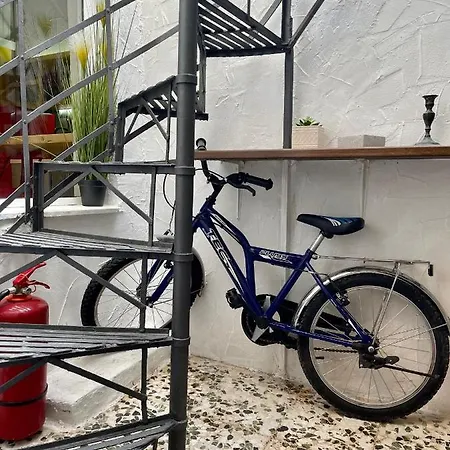 فيلة Oikiastudios2