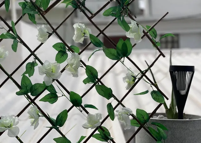 Villa Oikiastudios2 *