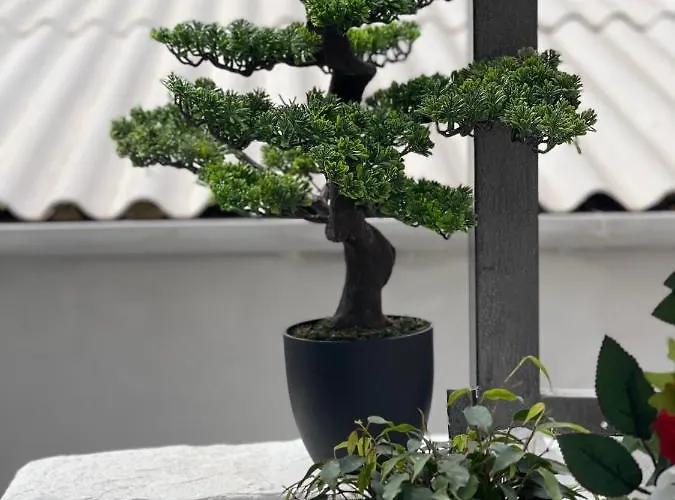 Βίλα Oikiastudios2 *